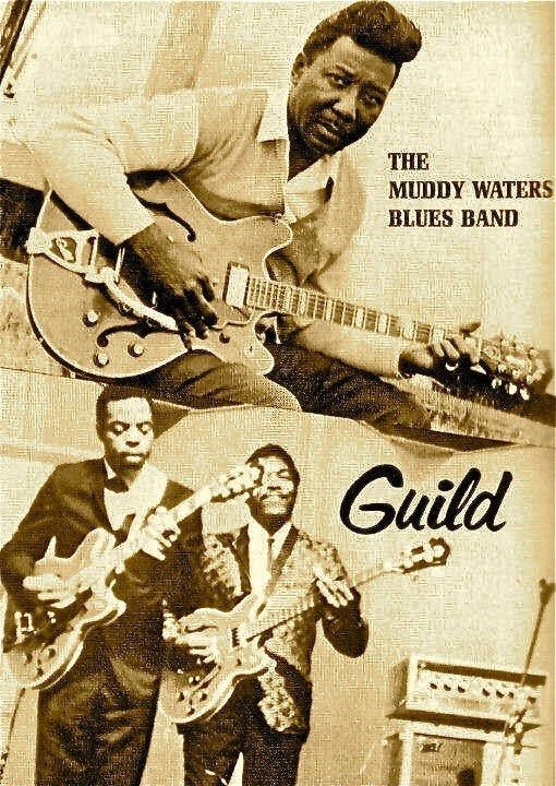 muddy waters guild
